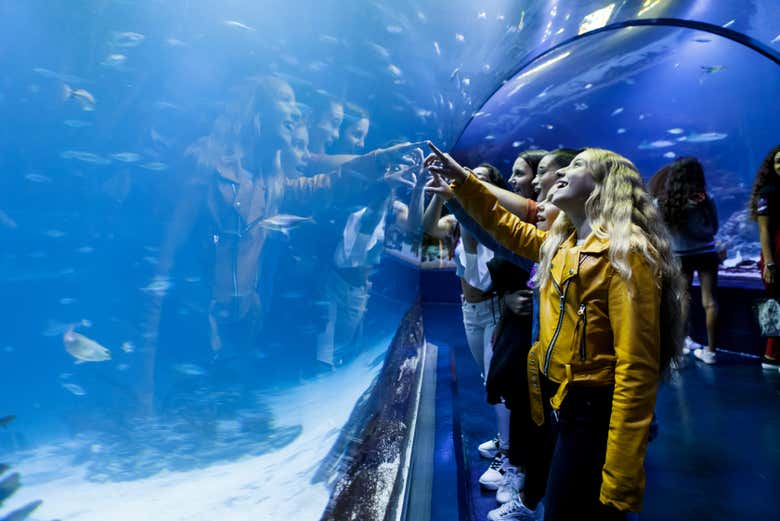 Durante la visita all'Atlantis Aquarium