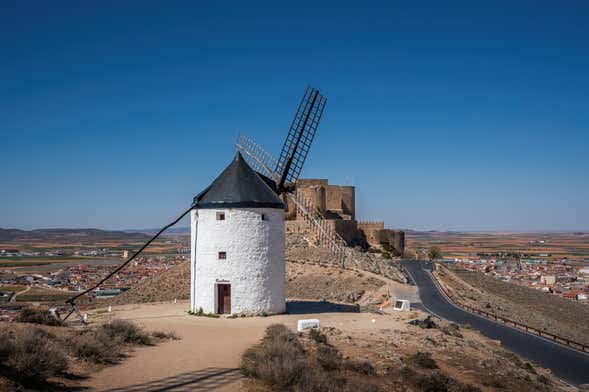 Escursione a Consuegra