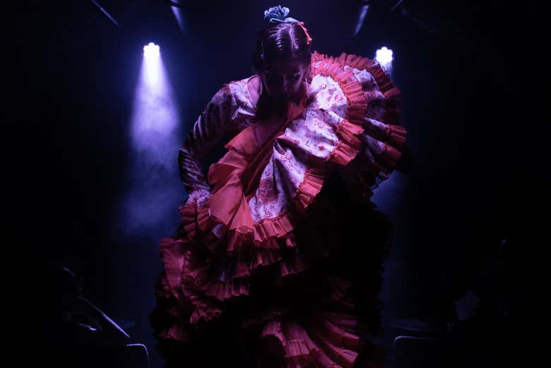 Spettacolo di flamenco a Madrid