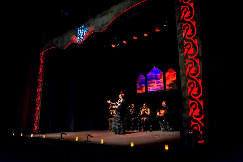 Spettacolo del Teatro Flamenco di Madrid