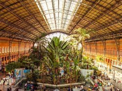 Atocha, Giardino Tropicale