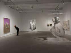 Sala del museo Reina Sofía