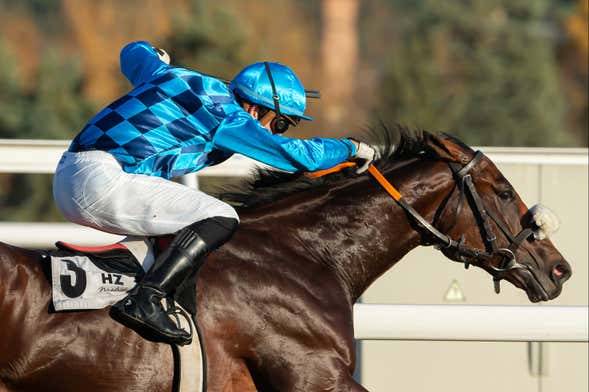 Visita guidata dell'ippodromo della Zarzuela